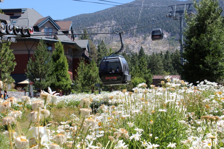 gondola at heavenly lake tahoe Na dúvida embarque