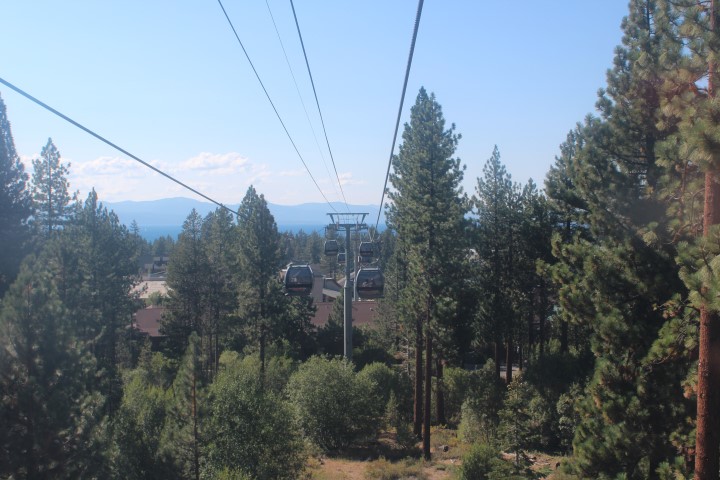 passeio de gondola lake tahoe Na dúvida embarque