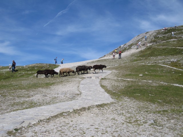 alpes Innsbruck Áustria Na dúvida embarque