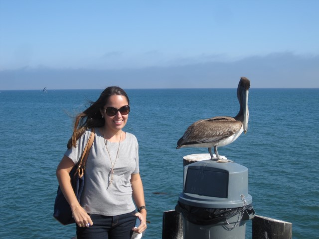 santa barbara california pier Stearns Wharf (3) (Small)