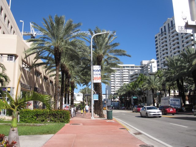 Collins Avenue South beach Miami Florida Na dúvida embarque