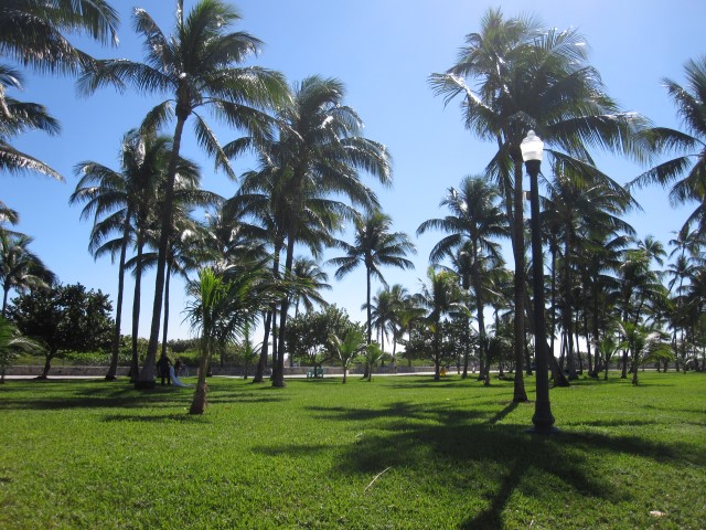 Lummus Park South beach Miami Florida Na dúvida embarque