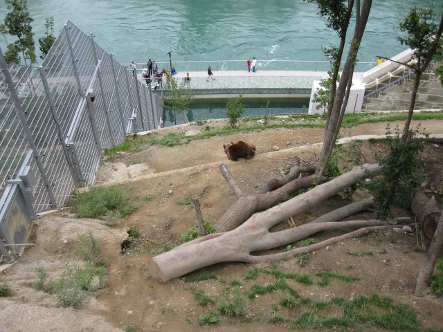 Toca do Urso Berna Suíça Na dúvida embarque