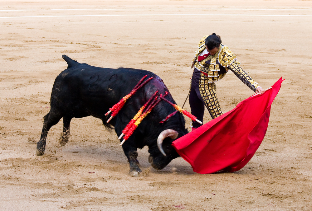 tourada Espanha Na dúvida embarque (3)