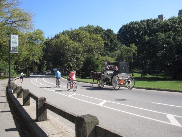 bicicleta e charrete no Central Park Na dúvida embarque (Small)