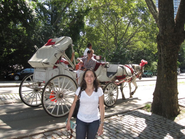 passeio de charrete no Central Park Na dúvida embarque (2) (Small)