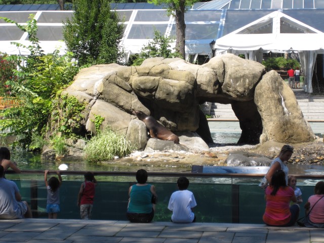 zoológico Central Park Nova York Na dúvida embarque (2) (Small)