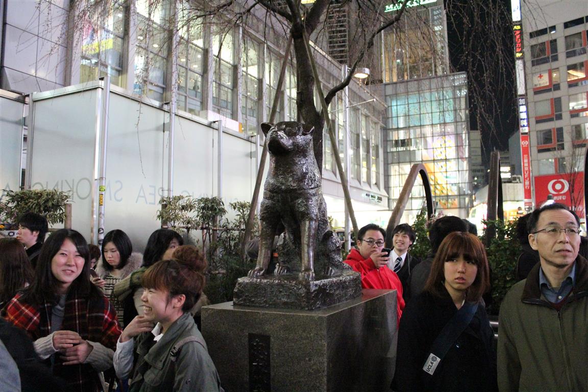 hachiko-japao-blog-na-duvida-embarque