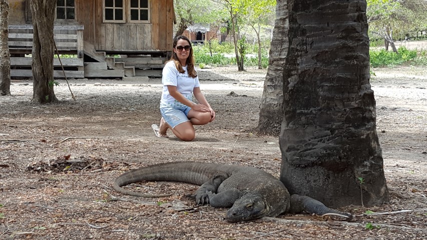 dragao-de-komodo-indonesia-small