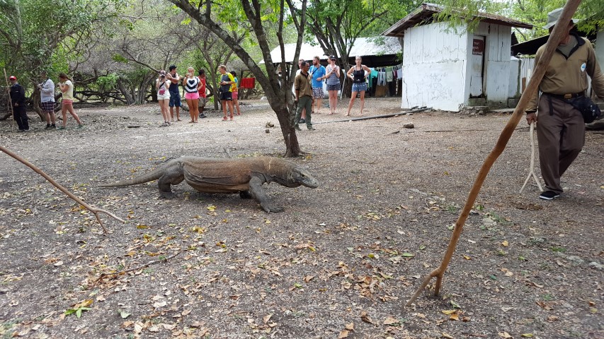 komodo-national-park-indonesia-blog-na-duvida-embarque-1-small