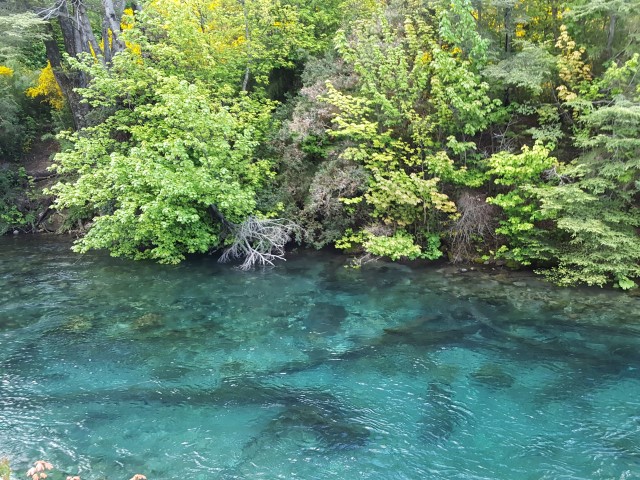 rio correntoso-villa la angostura-na-duvida-embarque