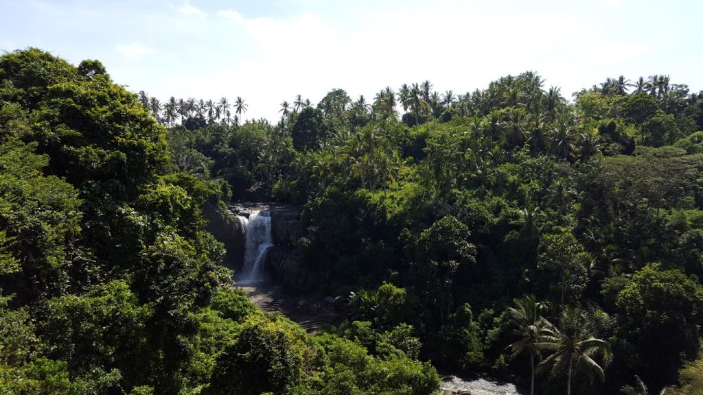 cachoeira-ubud-indonesia-medium