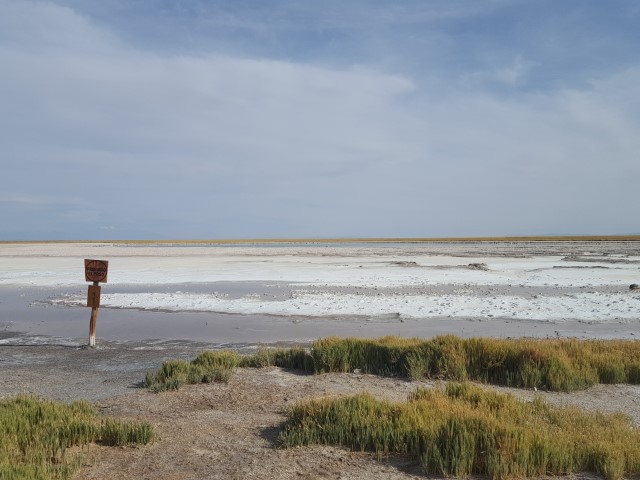 Laguna Cejar Deserto do Atacama