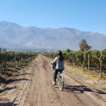 Cousiño Macul: tour bicicleta e vinho