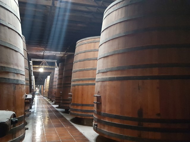 vinícola Cousiño Macul Santiago