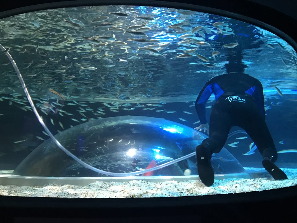 AquaRio Rio de Janeiro