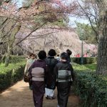 Kyoto, Japão: onde ficar e o que fazer
