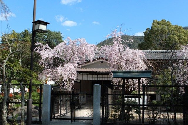 Miyajima Japão