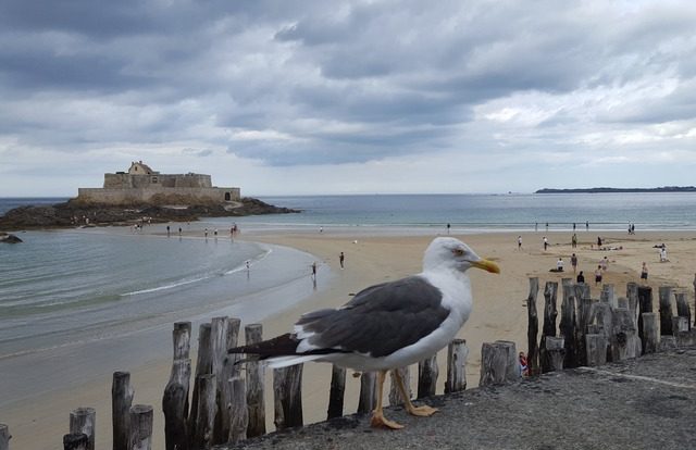 Saint Malo o que fazer na Bretanha