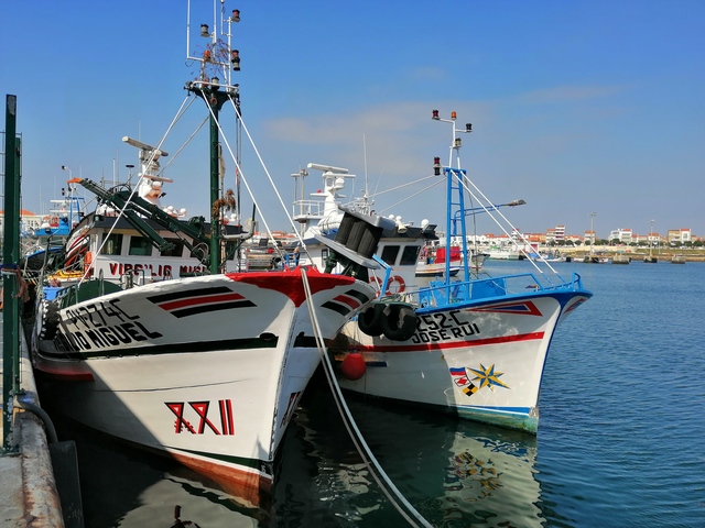 o que fazer em póvoa de varzim