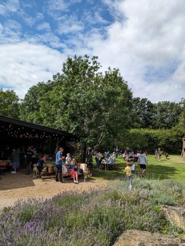 campo de lavanda perto de Londres